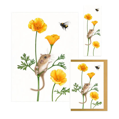Goldmohn - Geschenkset