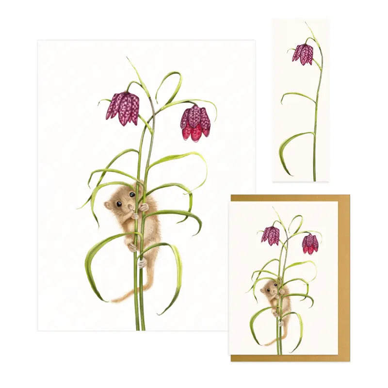 Haselmaus und Schachbrettblume - Geschenkset