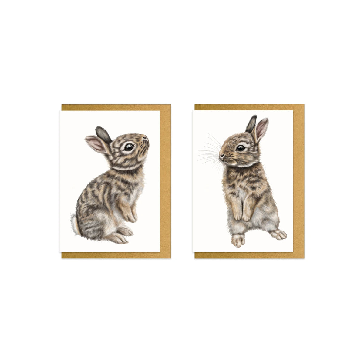 Kaninchen Grußkarten-Sammlung – zwei Klappkarten mit goldenen Umschlägen