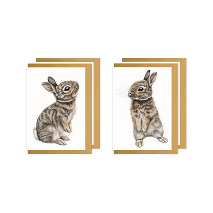 Kaninchen Doppel-Grußkarten-Sammlung – vier Klappkarten, je zwei pro Motiv, mit goldenen Umschlägen