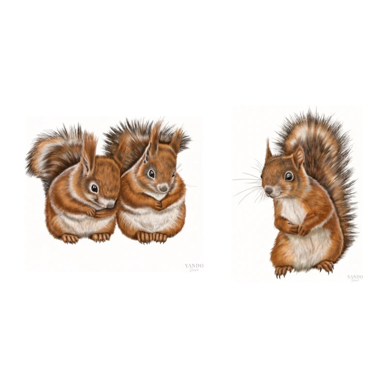Eichhörnchen Kunstdruck-Set – Einzel- und Paar-Motiv, Fine Art auf Hahnemühle-Papier