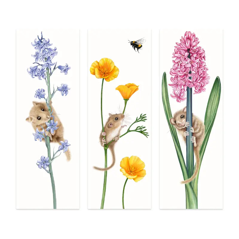 Haselmaus Lesezeichen-Set Frühlingsblüten – Hasenglöckchen, Goldmohn & Hyazinthe