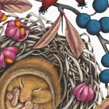 Detailliertes Naturmotiv auf Leinwand mit schlafender Haselmaus im Nest, umgeben von rosa und blauen Blüten auf Canvas. - Leinwanddruck - Schlafende Haselmaus - YANDO Designs