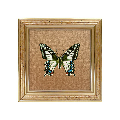 Handgemaltes Original  – Schwalbenschwanz Schmetterling