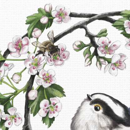 Detailliertes Naturmotiv auf Leinwand mit Schwanzmeise auf weißem Canvas und blühendem Weißdornzweig. - Leinwanddruck - Schwanzmeise und Weißdorn - YANDO Designs