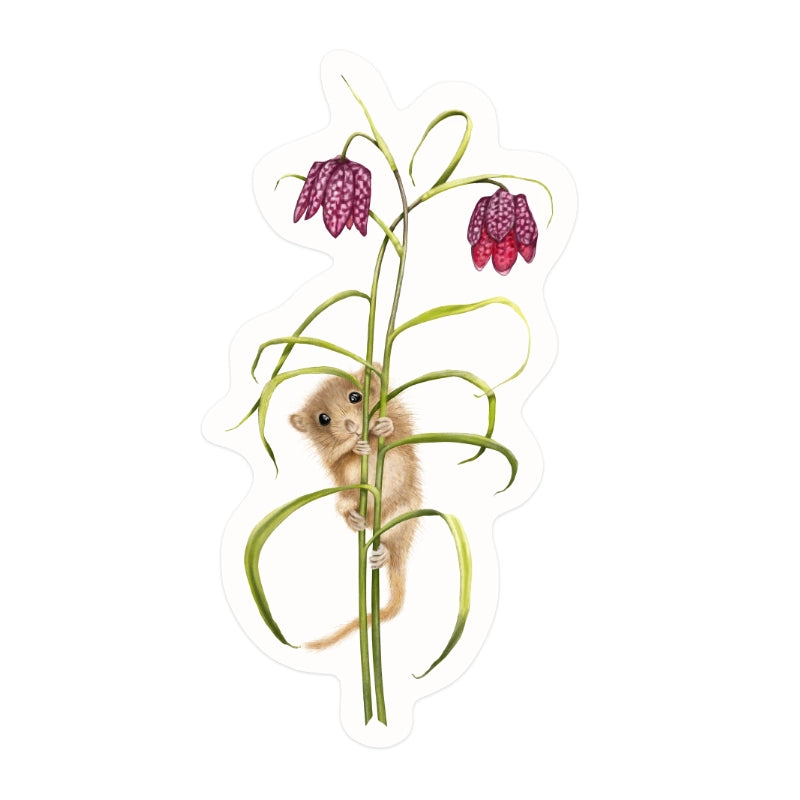 Sticker Haselmaus und Schachbrettblume