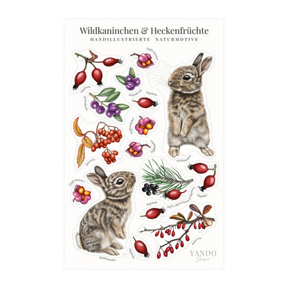 Stickerbogen Wildkaninchen im Format 18,8 × 12 cm mit sechzehn Kiss-Cut Stickern: Wildkaninchen, Hagebutten, Pfaffenhütchen, Heckenkirsche und Berberitze