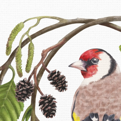 Detaillierter Leinwanddruck auf Canvas mit Naturmotiv, zeigt einen farbenfrohen Stieglitz neben schwarzer Schwarzerle und. - Leinwanddruck - Stieglitz und Schwarzerle - YANDO Designs