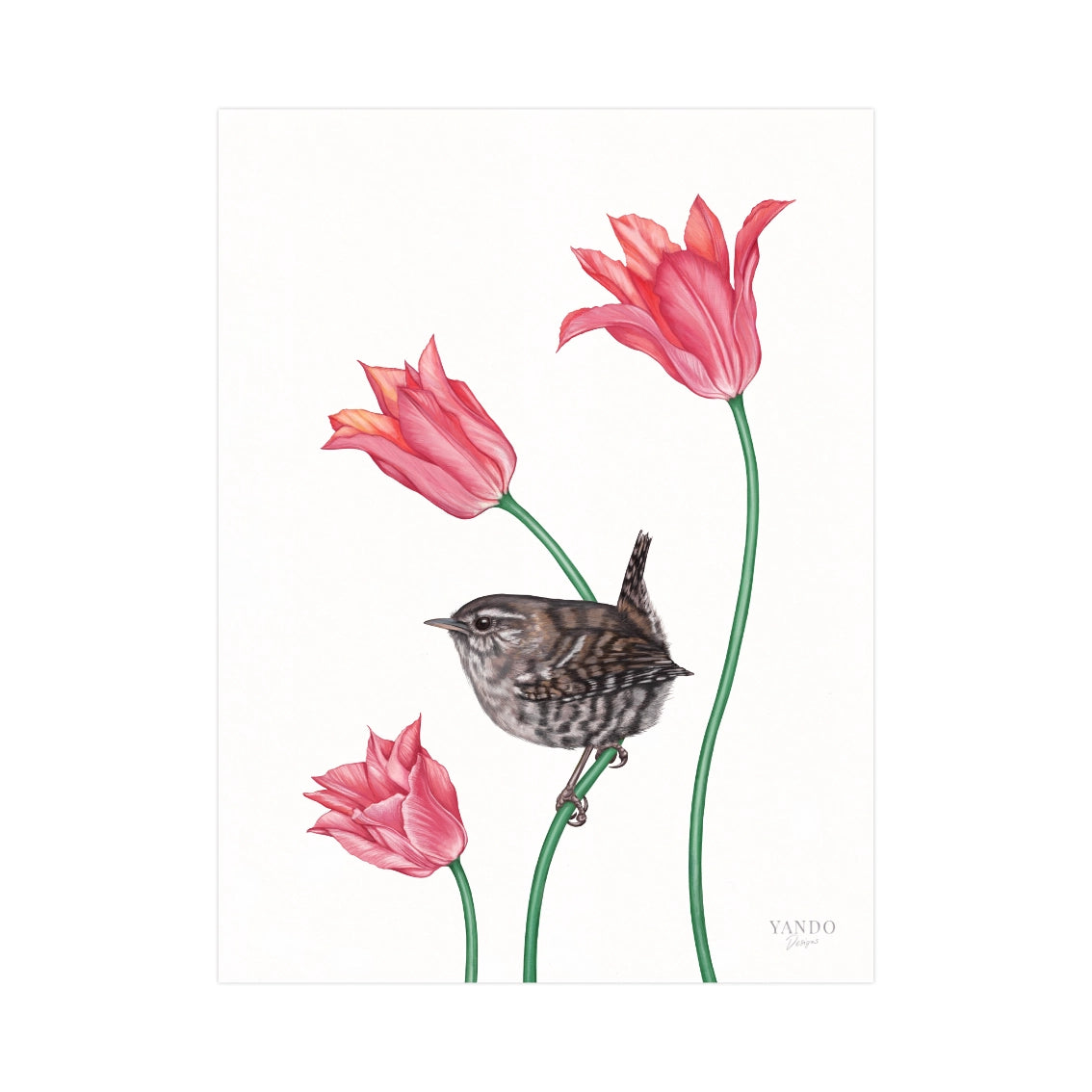 Handgemalter Kunstdruck Zaunkönig und Tulpe auf Hahnemühle Fine-Art-Papier, 18×24 cm