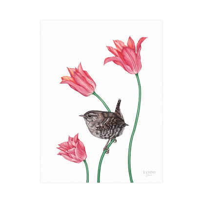Handgemalter Kunstdruck Zaunkönig und Tulpe auf Hahnemühle Fine-Art-Papier, 18×24 cm