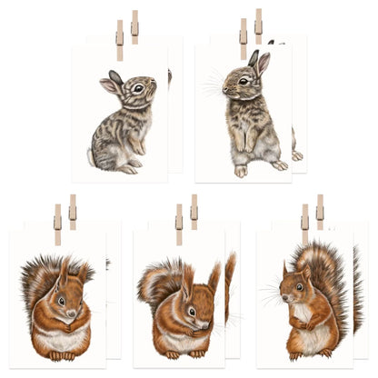 Produktvideo: Eichhörnchen und Kaninchen Geschenkanhänger-Sammlung