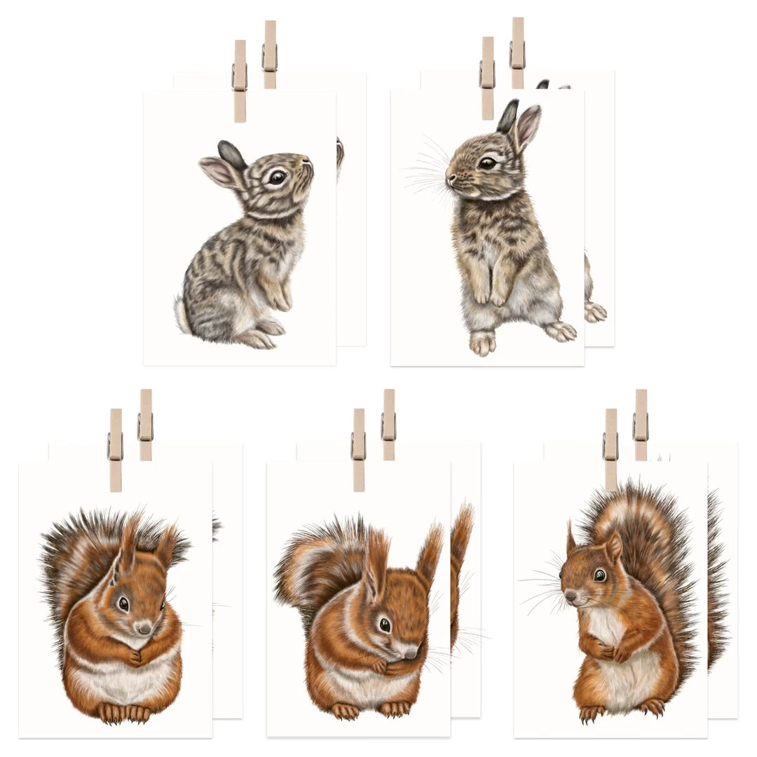 Produktvideo: Eichhörnchen und Kaninchen Geschenkanhänger-Sammlung
