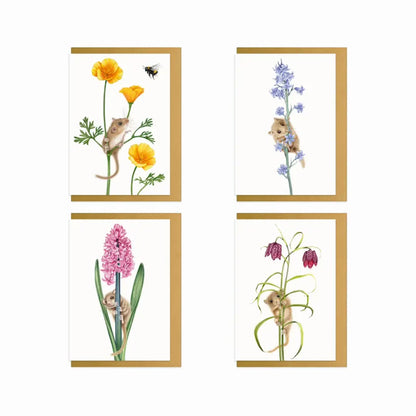 Produktvideo: Haselmäuse und Blumen Grußkarten-Sammlung