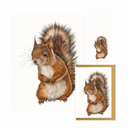 Eichhörnchen - Geschenk-Sammlung