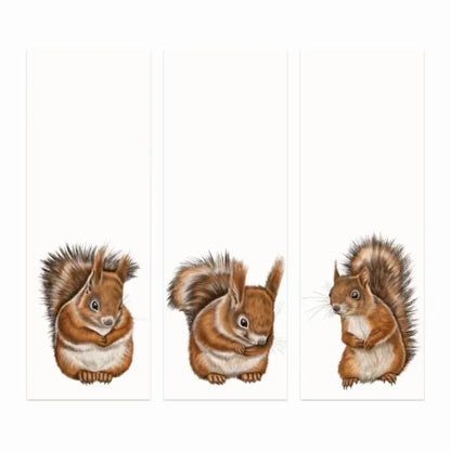Eichhörnchen - Lesezeichen-Sammlung