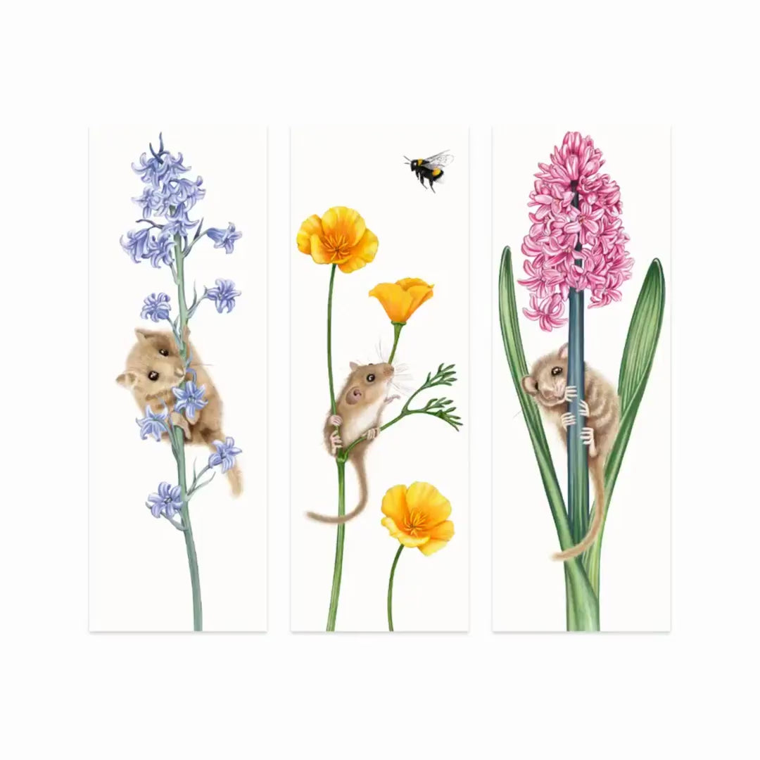 Produktvideo: Haselmäuse und Blumen Lesezeichen-Sammlung