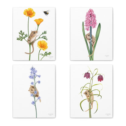 Produktvideo: Haselmäuse und Blumen Leinwand-Sammlung