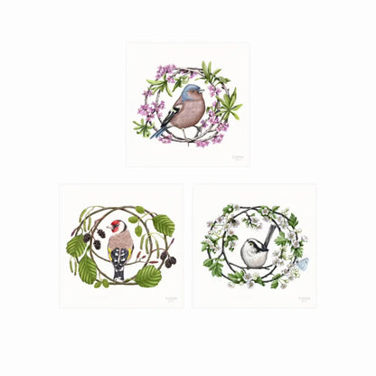 Heimische Gartenvögel - Kunstdruck-Sammlung