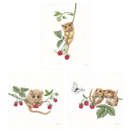 Haselmäuse und Himbeeren - Kunstdruck-Sammlung