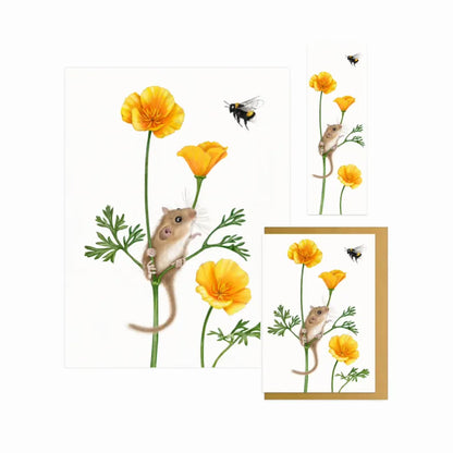 Goldmohn - Geschenkset