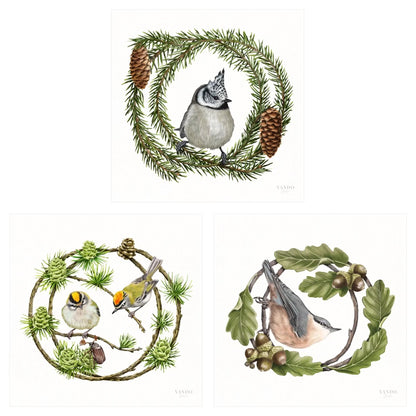 Heimische Waldvögel - Kunstdruck-Sammlung