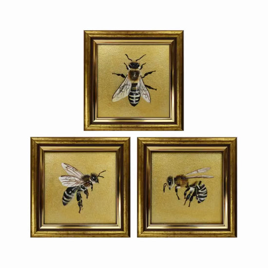 Produktvideo: Honigbienen Sammlung, handgemalte Originale auf Leinwandkarton