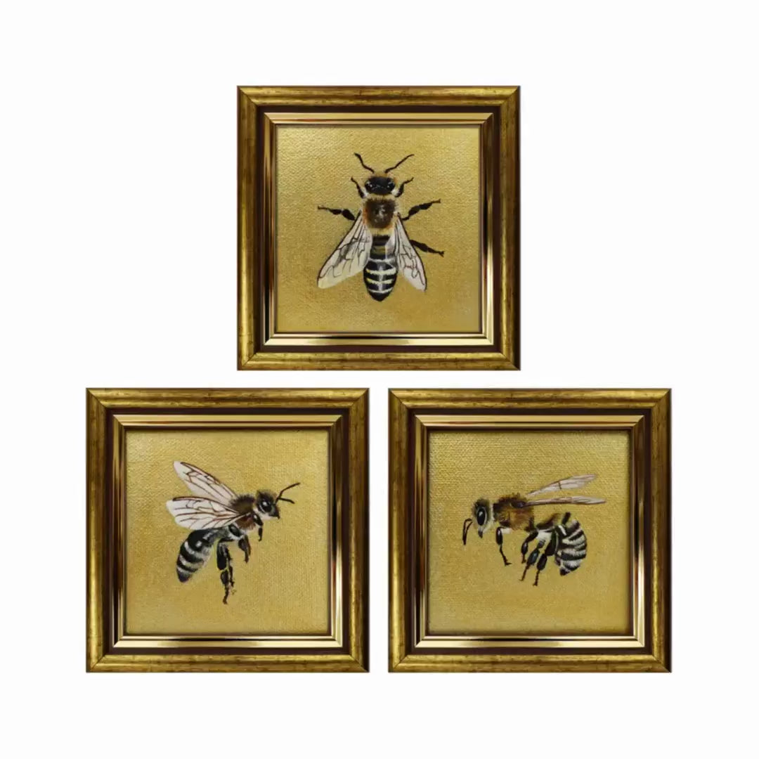 Produktvideo: Honigbienen Sammlung, handgemalte Originale auf Leinwandkarton