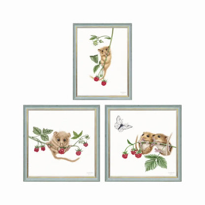 Haselmaus Himbeere - Wandbild-Sammlung mit Holzrahmen
