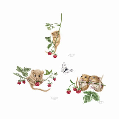 Haselmaus Himbeere - Kunstdruck-Sammlung