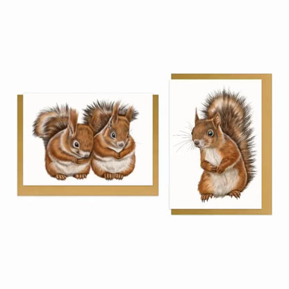 Eichhörnchen - Grußkarten-Sammlung