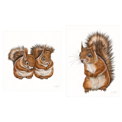 Eichhörnchen - Kunstdruck-Sammlung