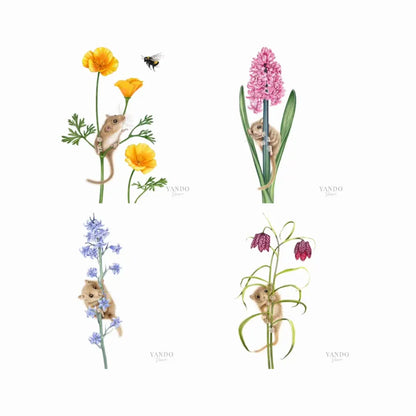 Haselmaus Blumen - Kunstdruck-Sammlung