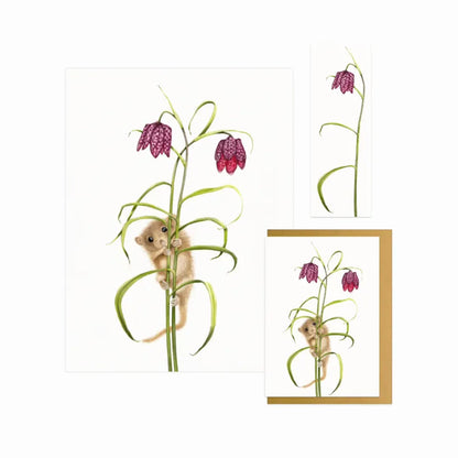 Haselmaus und Schachbrettblume - Geschenkset