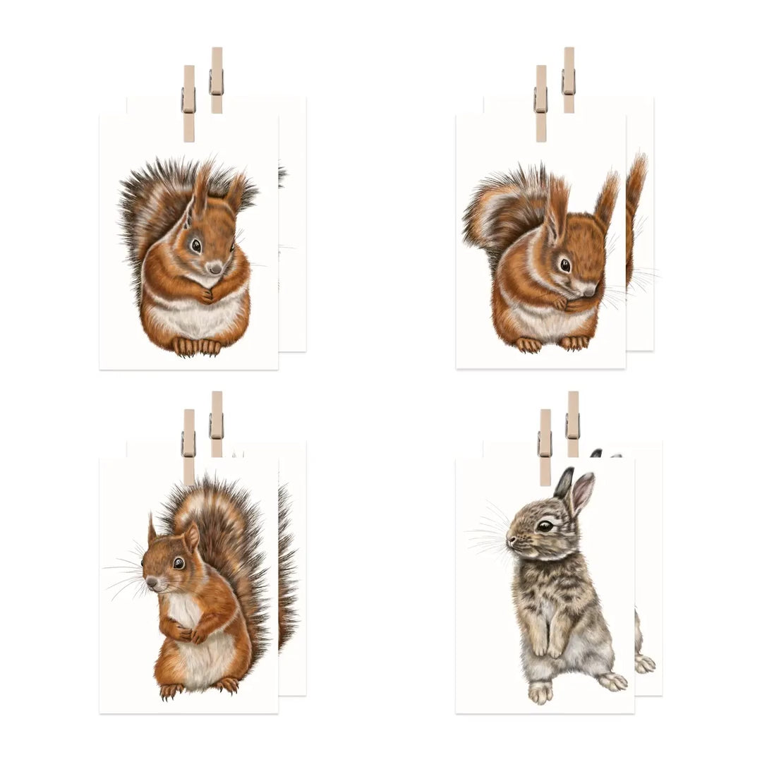 Produktvideo: Eichhörnchen und Kaninchen Geschenkanhänger-Sammlung