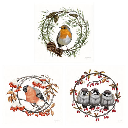 Heimische Wintervögel - Kunstdruck-Sammlung