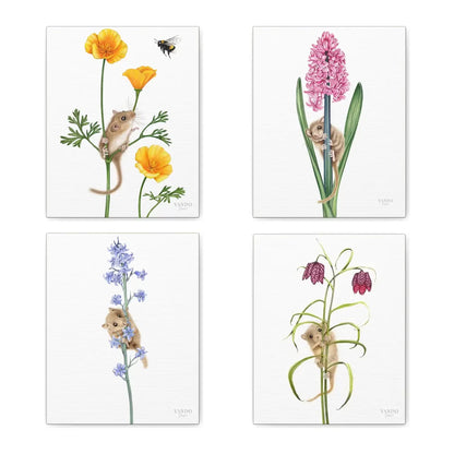 Produktvideo: Haselmäuse und Blumen Leinwand-Sammlung