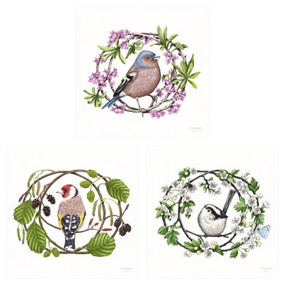 Heimische Gartenvögel - Kunstdruck-Sammlung
